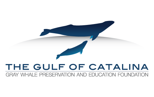 Gray Whale Foundation Logo